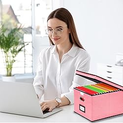EOOUT 1 Pack File Organizer Box with Lid Hanging