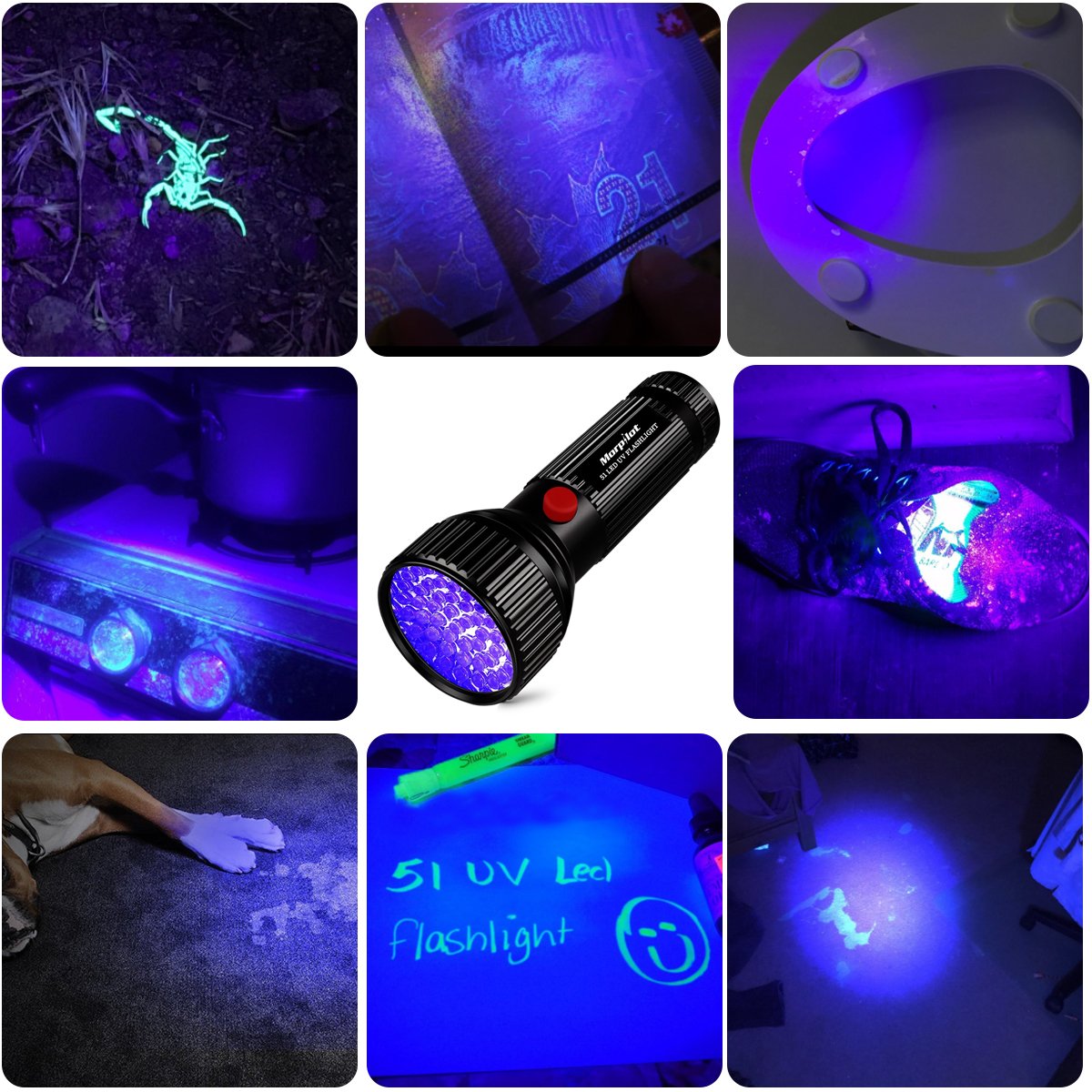 51 LED UV Flashlight Pet Urine Stain Detector 2 Pack - Morpilot Upgrade Best 395nm Ultraviolet Blacklight for Detect Bed Bug Dog Urine Stain Scorpion