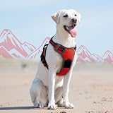 Eagloo Dog Harness Large No Pull Front Back Clips Reflective Red L view 9