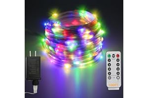 GLPE LED Rope Lights Outdoor, 100Ft 300 LED Multicolor String Lights Indoor with Remote, 8 Modes Waterproof Fairy Lights for Outside Garden Patio Party Wedding Christmas Decoration