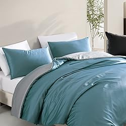 Redkey Queen Comforter Set Satin Silky Bedding