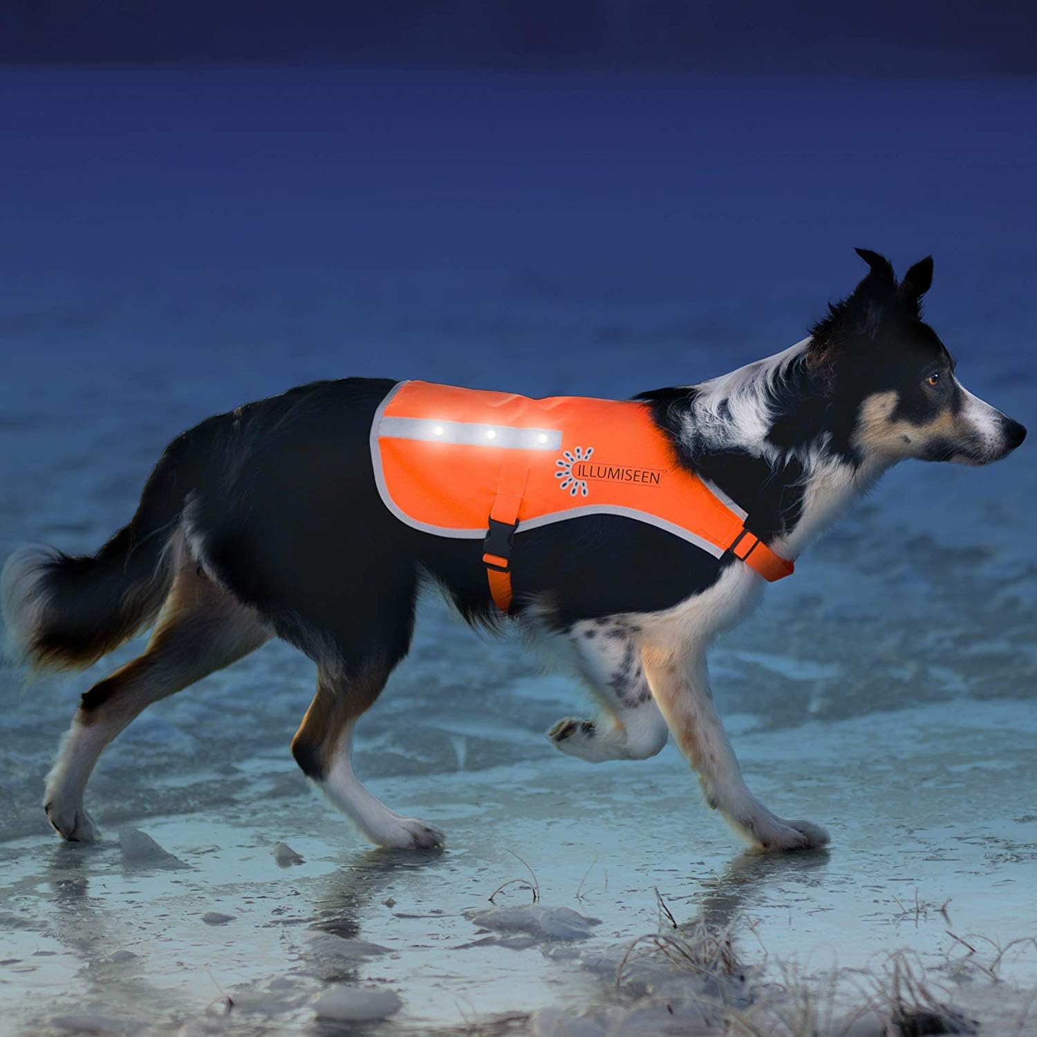 Illumiseen LED Dog Vest | Orange 