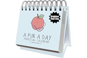 ROCKDOODLES Perpetual Daily Pun Calendar | 365 Hilarious Puns for Home or Office, Wordplay to Brighten, Amuse, and Entertain Every Day of the Year | Great Gift for Pun Lovers, Coworkers, Friends & Family