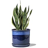 Chubacoo 8 Inch Plant Pot: Ceramic Planter with Drainage Hole & Saucer - Gradient Blue Flowerpot for Indoor & Outdoor Plants with Separate Tray