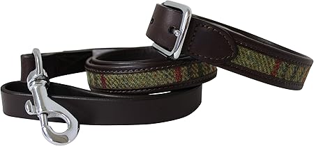 leather lead and collar