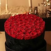 Valentines Day Gifts 47 Flowers, Luxury Real Preserved Roses in a Suede Box, Forever Roses in a Box, Red Roses Bouquet, Anniversary, Proposal, Wedding, Birthday, Gifts for Women,Girlfriend, Wife, Her