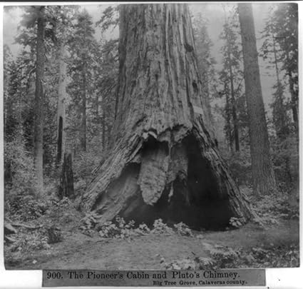 Amazon Com 1866 Photo The Pioneer S Cabin And Pluto S Chimney