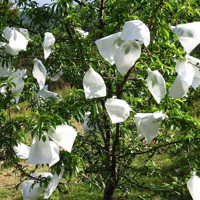 SHZONS - Bolsa de Papel de Pulpa de Madera para Plantas y Frutas ...