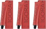 Schwarzkopf Igora Royal 9-1 Hair Dye 3 x 60 ml Pack