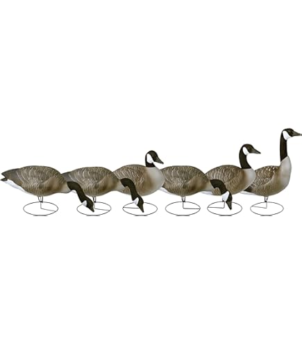 Amazon.com : Flambeau Outdoors 8990FBU Storm Front 2 Canada