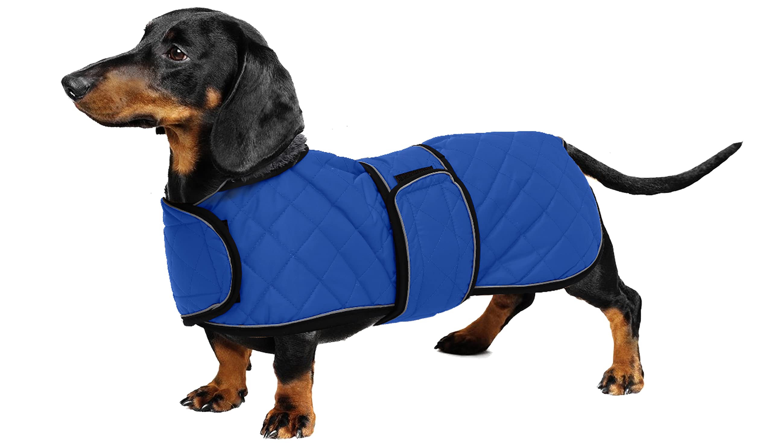 Warm Thermal Quilted Dachshund Coat, Dog Winter Coat with Warm Fleece Lining, Outdoor Dog Apparel with Adjustable Bands for Medium, Large Dog-Blue-S
