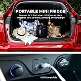 Subcold Pro4 Luxury Mini Fridge 4L 6 Cans USB AC Power Black New view 6