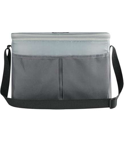 Amazon.com : Coleman 2000031888: Cooler Soft 9 Can Gray C024