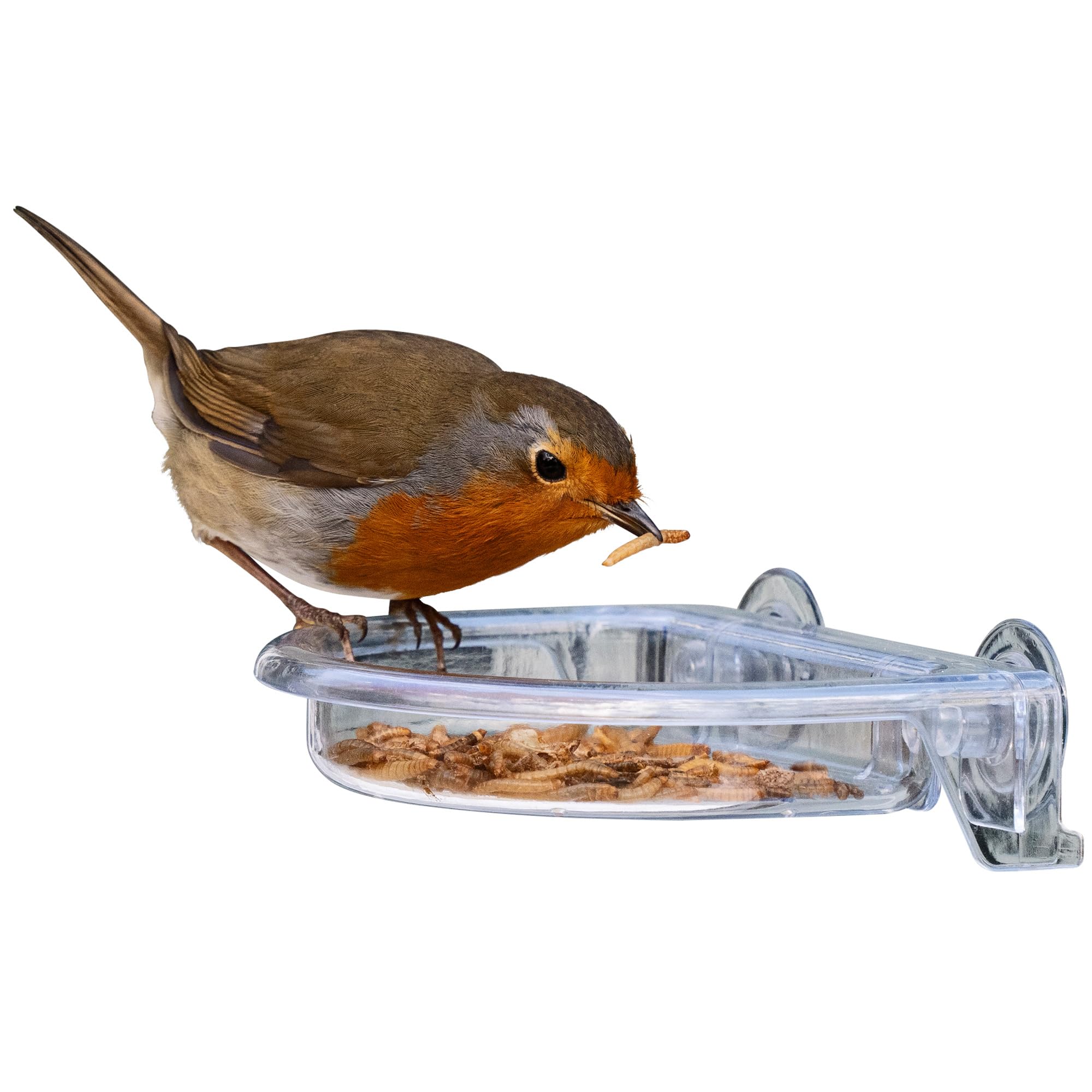 Small Easy Clean Garden Window bird feeders - Jacobi Jayne® I Love Robins® TreatTray™ Window Bird Feeder - no mess stick on window bird feeder for garden birds