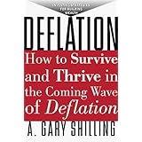 The Age Of Deleveraging Investment Strategies For A Decade Of Slow Growth And Deflation Shilling A Gary 9780470596364 Books Amazon Ca