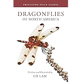 Dragonflies of North America (Princeton Field Guides)