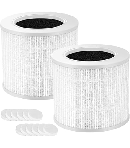 Amazon.com: Replacement Filter Compatible with BOYON A8, A18, FNA