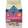 Blue Buffalo Life Protection Formula Adult Dry Dog Food, Helps Build and Maintain Strong Muscles, Made with Natural Ingredients, Salmon & Brown Rice Recipe, 15-lb. Bag