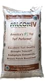 SeedRanch Falcon IV Turf Type Tall Fescue Grass Seeds - 25 lbs.