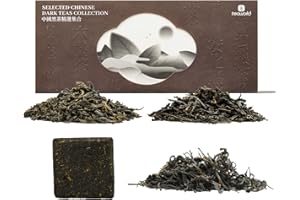 iTeaworld Chinese Dark Tea Sampler, Includes Aged Pu'erh, Liu Bao, Anhua, Hubei, 20 Packs with 20 Biodegradable Tea Bags,Perfect for Daily Relaxation, 3.5oz