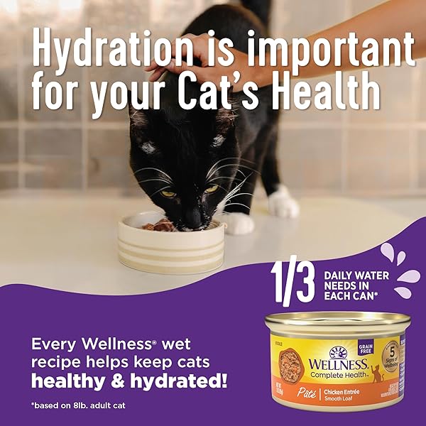 WELLNESS COMPLETE HEALTH GRAVY ADULT WET CAT FOOD, NATURAL, PROTEIN-RICH, GRAIN FREE, 3 OUNCE, 12 PACK, (TURKEY DINNER)