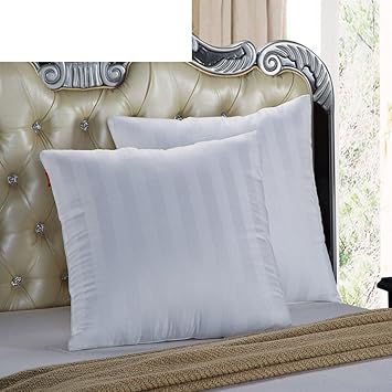 Amazon Com Jgxvuykdfv Cotton Pillow Two Person Pillow Core Pure