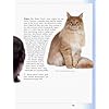 ASPCA Complete Guide to Cats: Everything You Need to Know About Choosing and Caring for Your Pet (Aspc Complete Guide to) - Image 5