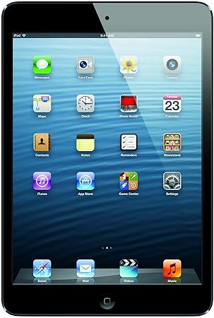Apple Ipad Mini Md528lla 16gb Wi Fi Black Slate