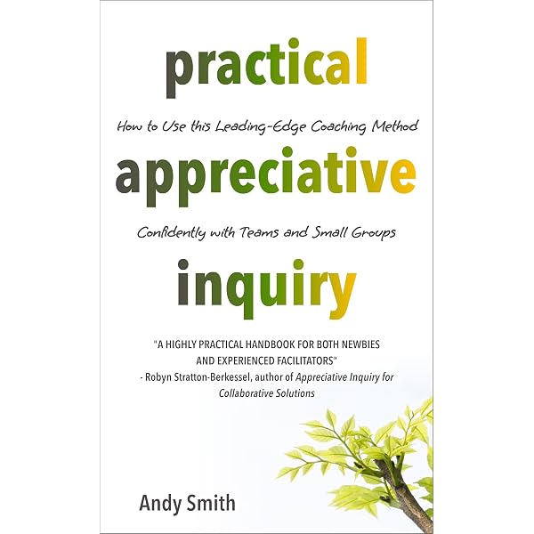 Amazon.com: Appreciative Inquiry: A Positive Revolution in Change