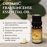 ecodrop Essential Oils Frankincense Organic 10 ml Boswellia Serrata view 2