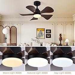 COCOSTAR Ceiling Fans with Lights and Remote/APP
