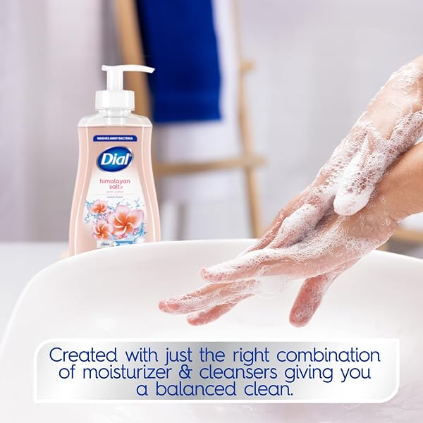 DIAL LIQUID HAND SOAP, HIMALAYAN SALT, 7.5 FL OZ