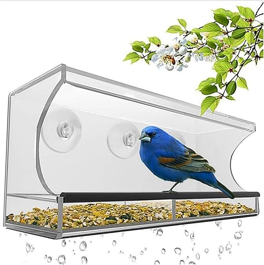 Bird Feeder Tray Window Wall Mounted Automatic Gift Modern Acrylic Pet