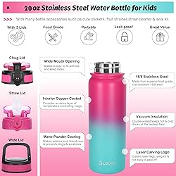 Oldley Insulated Water Bottle with Straw 20oz