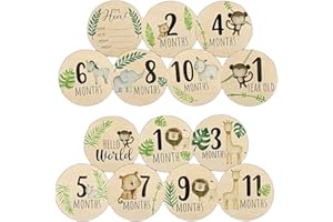 Baby Monthly Milestone Cards with Hello World Newborn Sign, 7Pcs Double Sided Wooden Baby Announcement Sign, Babys Photograph