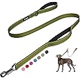 Fida 4 FT Heavy Duty Dog Leash with 2 Comfortable Padded Handles, Traffic Handle & Advanced Easy Snap Hook, Reflective Walking Lead for Large, Medium & Small Breed Dogs, Green