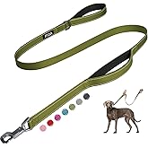 Fida 4 FT Heavy Duty Dog Leash with 2 Comfortable Padded Handles, Traffic Handle & Advanced Easy Snap Hook, Reflective Walking Lead for Large, Medium & Small Breed Dogs, Green