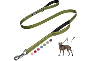 Fida 4 FT Heavy Duty Dog Leash with 2 Comfortable Padded Handles, Traffic Handle & Advanced Easy Snap Hook, Reflective Walking Lead for Large, Medium & Small Breed Dogs, Green