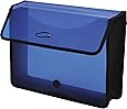 Lion Expand-N-File Poly Expanding Wallet, Letter (9-1/2 inch x 12 inch), 3 inch gusset, Transparent Blue, 1 Wallet (48160-BL)
