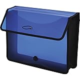 Lion Expand-N-File Poly Expanding Wallet, Letter (9-1/2 inch x 12 inch), 3 inch gusset, Transparent Blue, 1 Wallet (48160-BL)