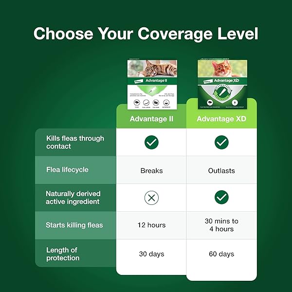 ADVANTAGE II LARGE CAT VET-RECOMMENDED FLEA TREATMENT & PREVENTION | CATS OVER 9 LBS. | 6-MONTH SUPPLY