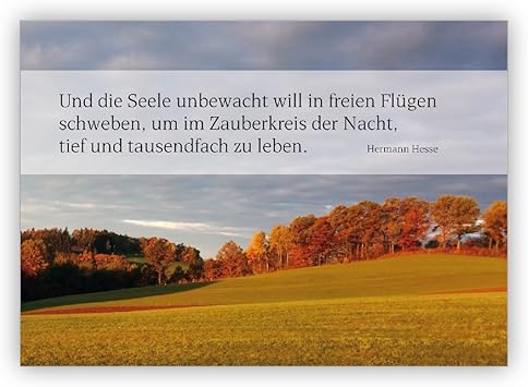 Download Seele zitat For iPhone