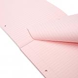 Rhino A4 Refill Pad 100 Pages 8mm Lined Blue-Tinted Paper 1 Pack Pink Border view 2