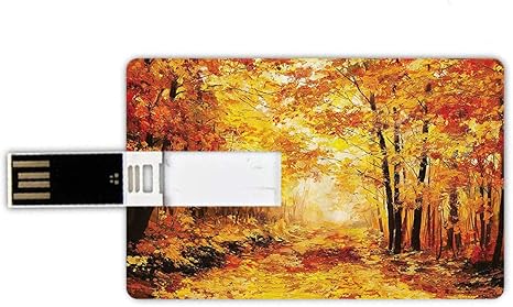 Usb Sticks 8gb Kreditkartenform Land Eingestellt Memory Amazon De Computer Zubehor