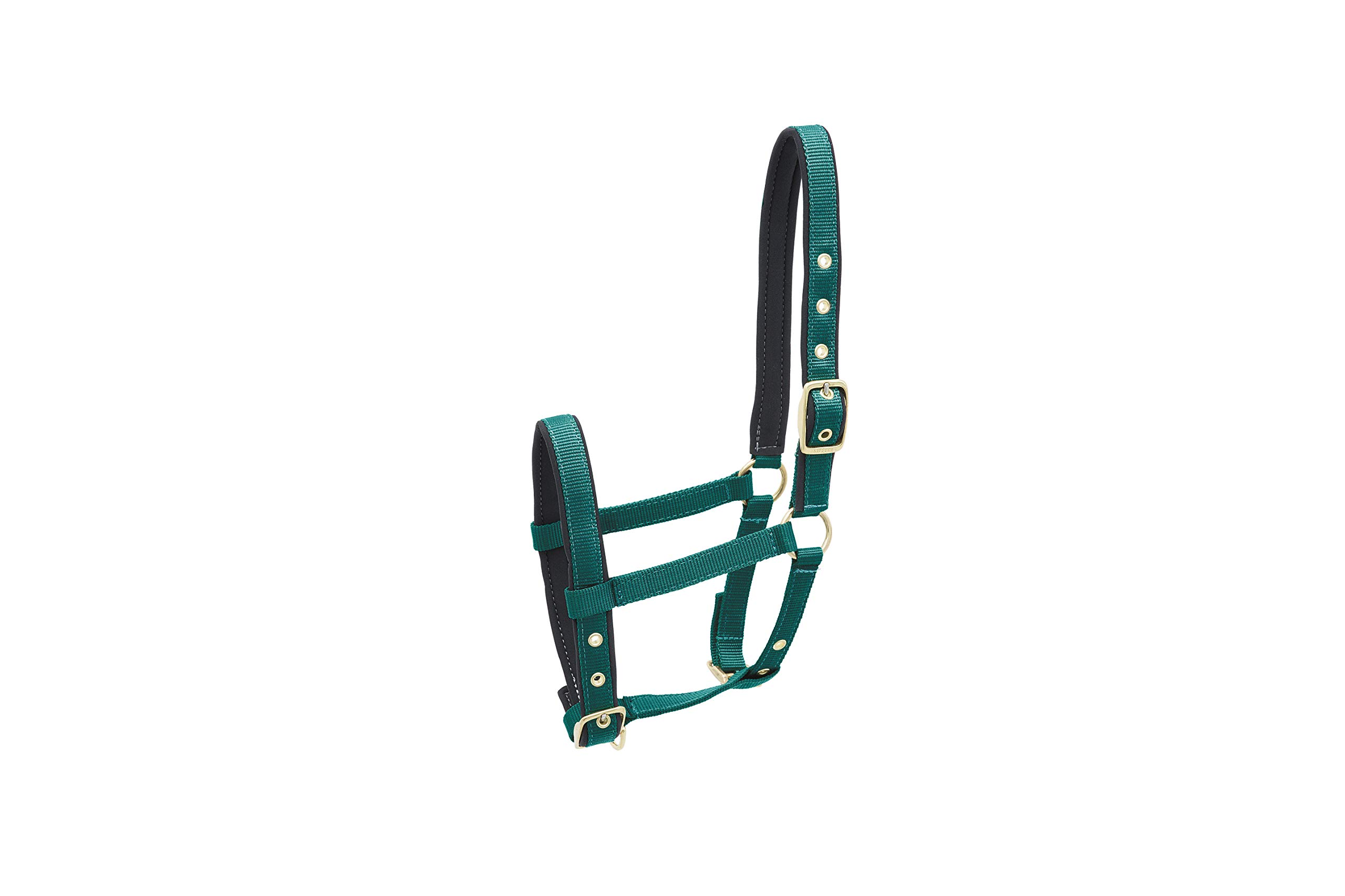KIEFFER Nylon Headcollar FOAL
