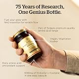 Solgar NAC 600 Mg Vegetable Capsules 60 Count Vegan Healthy Skin Hair view 5