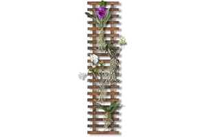 Mulctun Wall Planters - 11.4" W x 47.24" H Wooden Wall Planters for Indoor Outdoor Plants,Hanging Wood Wall Trellis,Wall Mounted Plant Holder for Orchids,Succulent,Air Plants,Hanging Pots Display