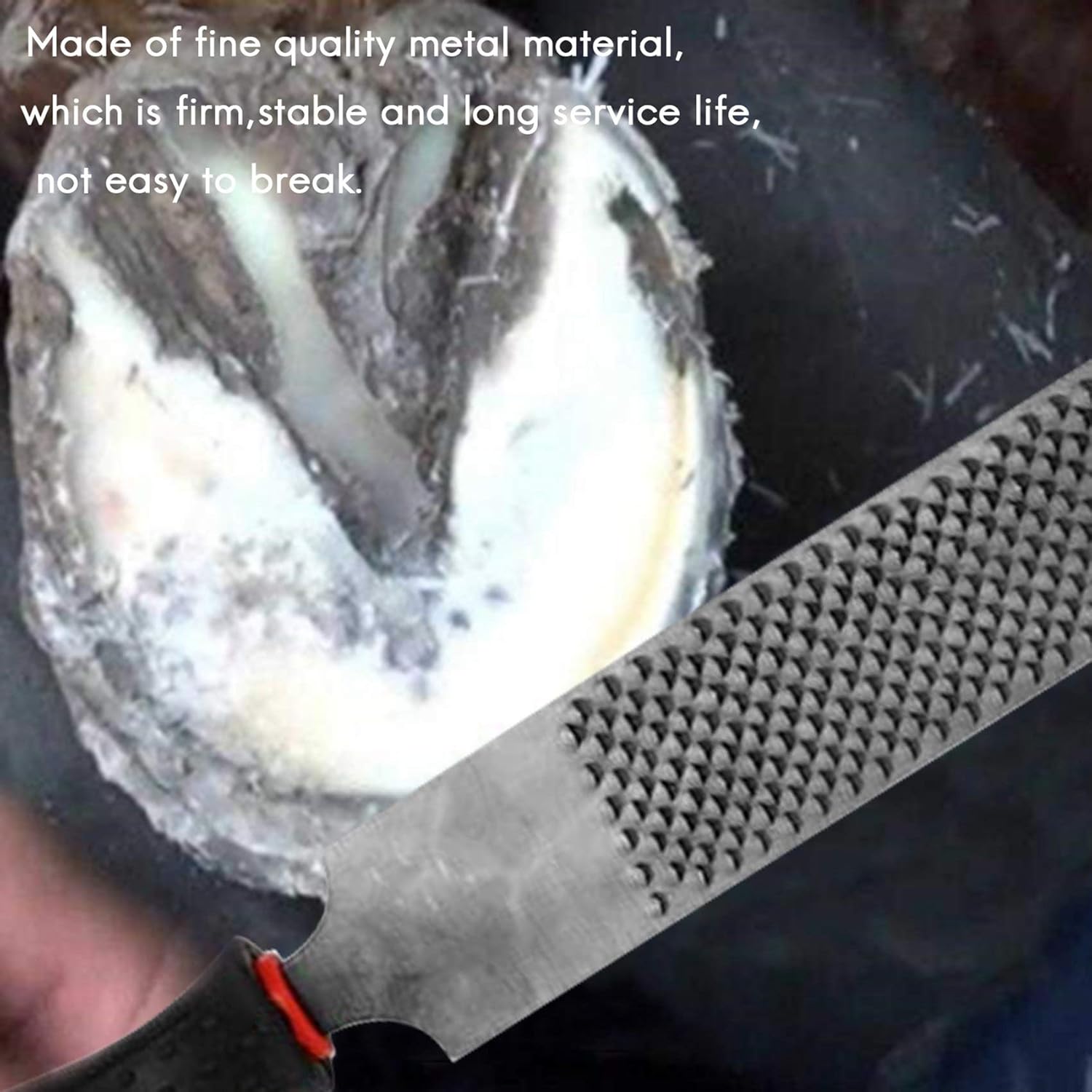 Noblik Farrier Hoof Trim Tool Kit, Professional Horses Hoof Trimming