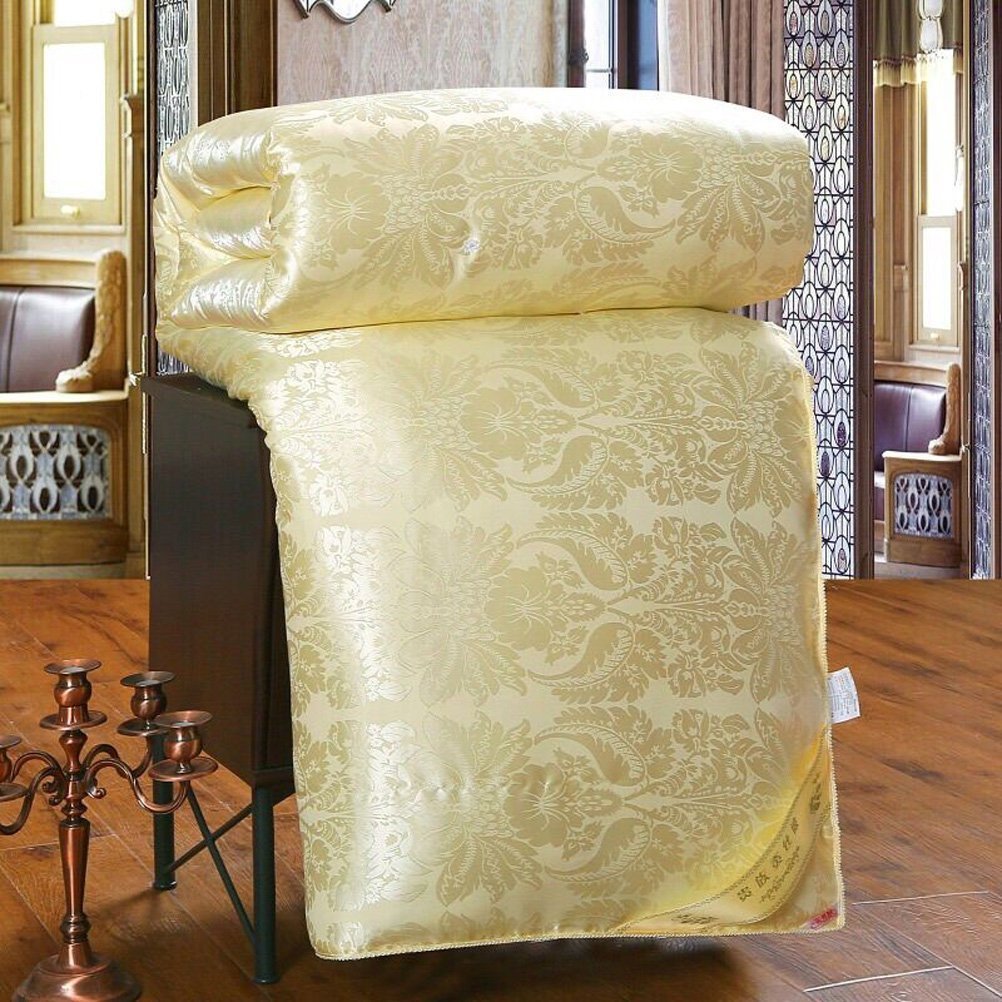 Hxiang Pure Mulberry Silk Comforter Silk Duvet Silk Quilt