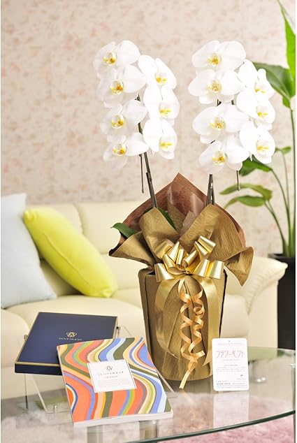 Amazon 花とギフトのセット 胡蝶蘭 大輪2本立とカタログギフト ヴァンウェスト オランジュ ビジネスフラワー 観葉植物